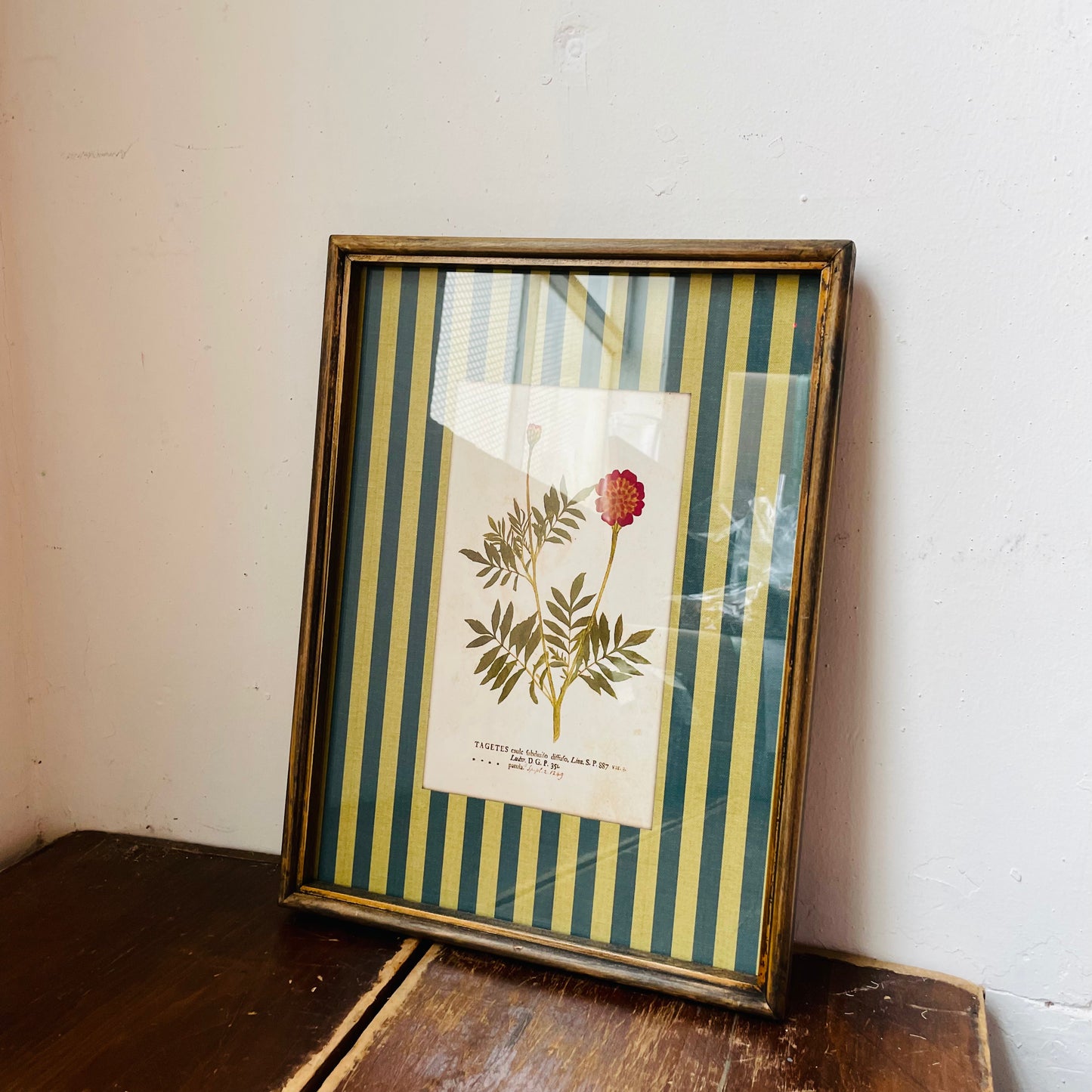 Vagabond Botanical & Striped Mat Wall Art