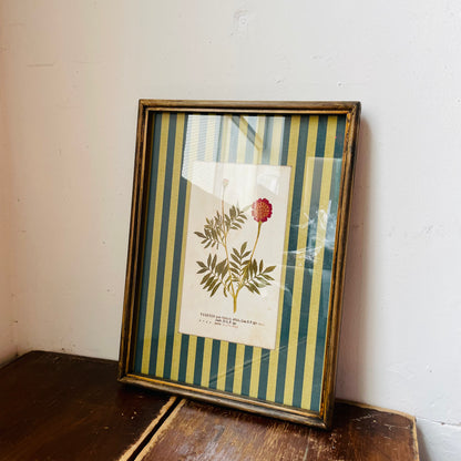 Vagabond Botanical & Striped Mat Wall Art
