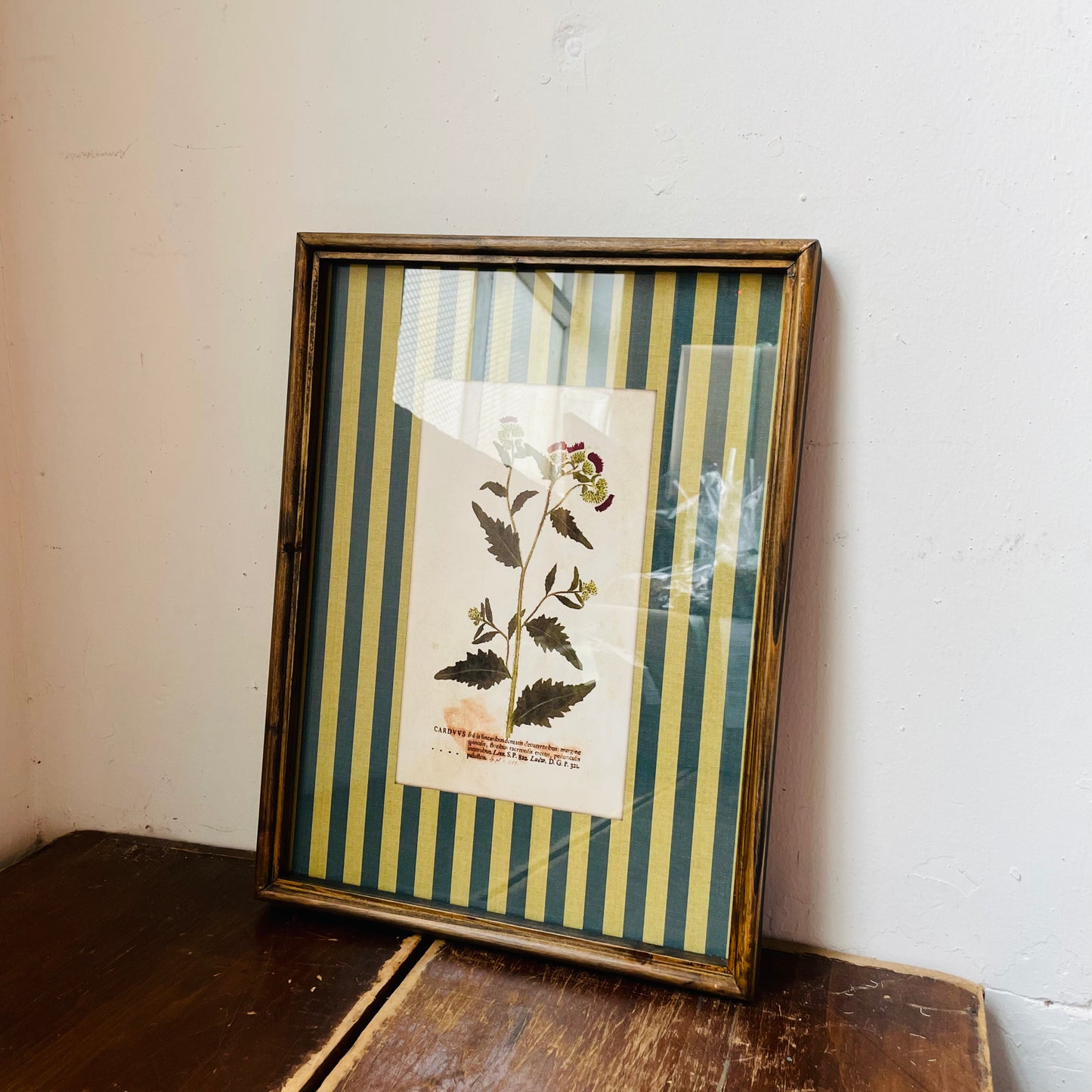 Vagabond Botanical & Striped Mat Wall Art
