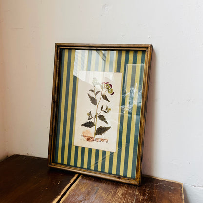 Vagabond Botanical & Striped Mat Wall Art