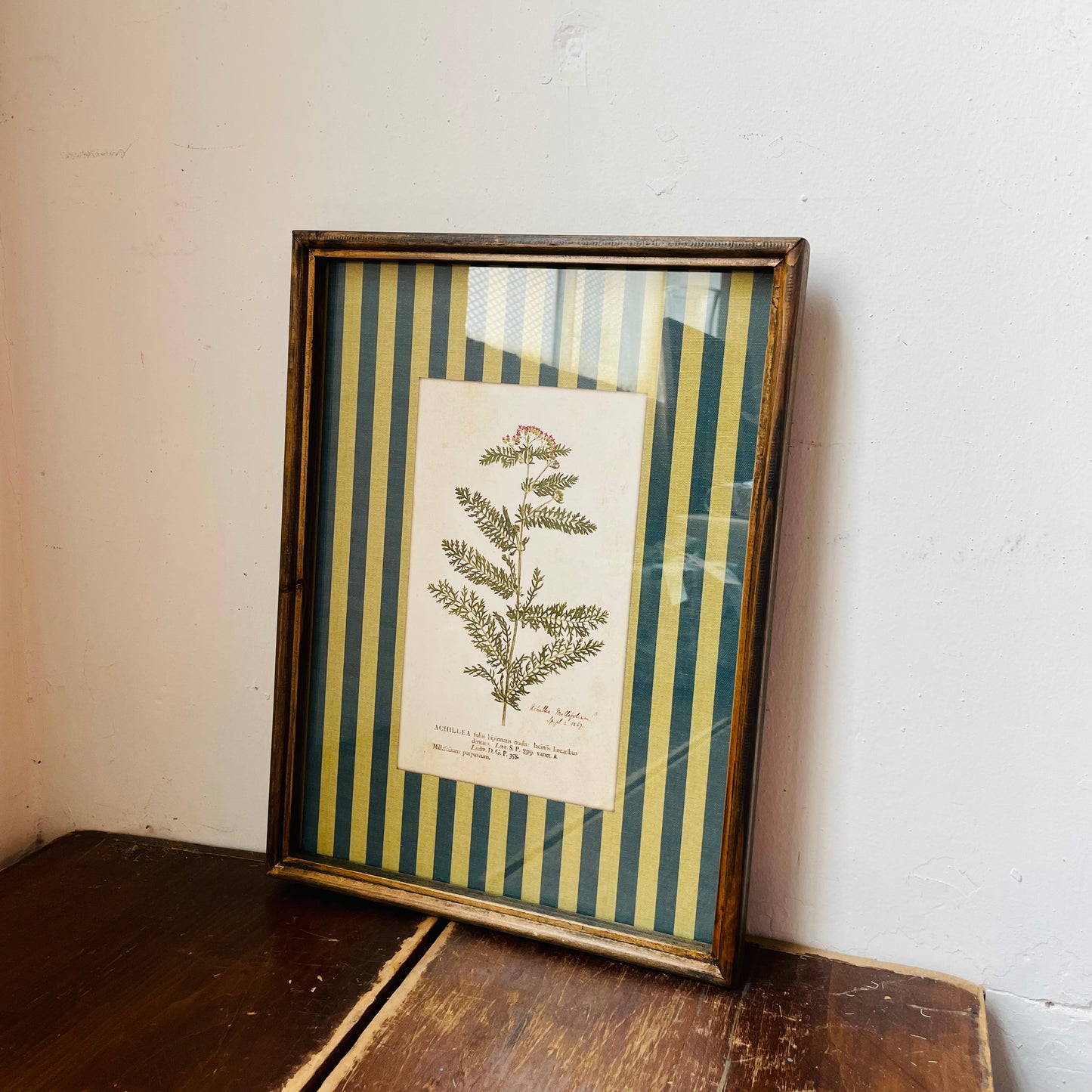 Vagabond Botanical & Striped Mat Wall Art
