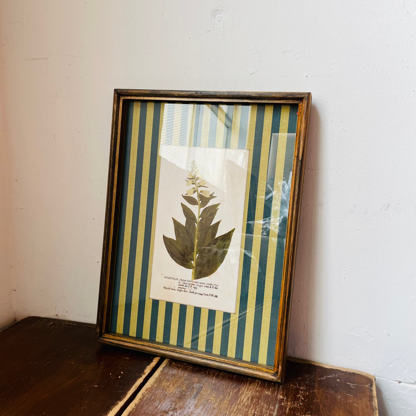 Vagabond Botanical & Striped Mat Wall Art