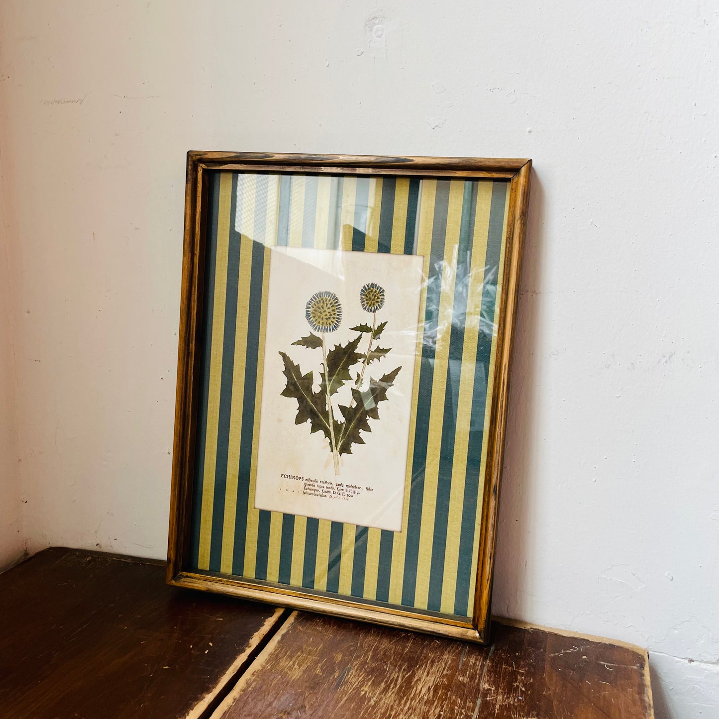 Vagabond Botanical & Striped Mat Wall Art
