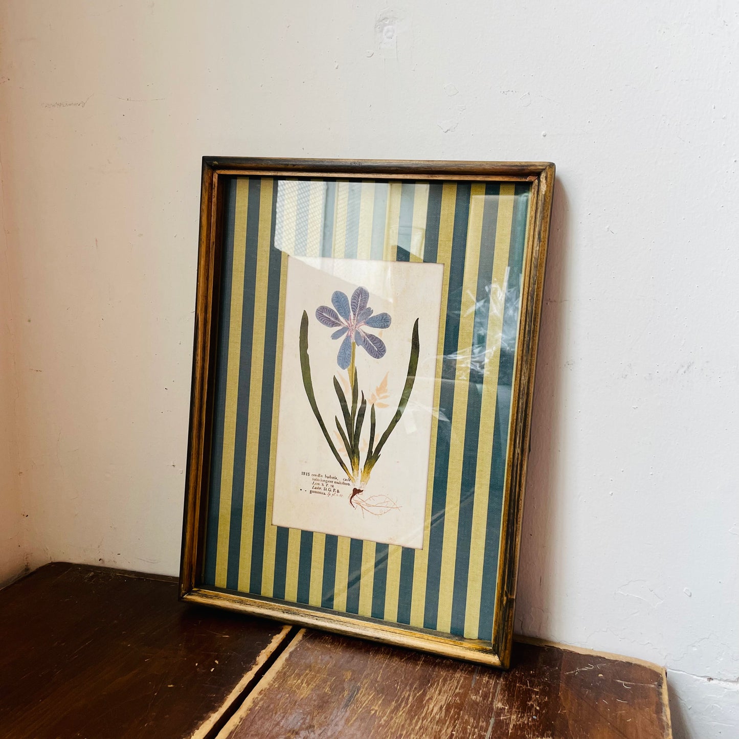 Vagabond Botanical & Striped Mat Wall Art