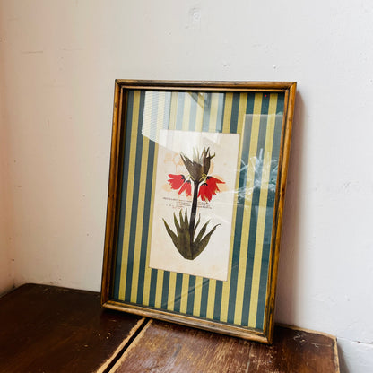Vagabond Botanical & Striped Mat Wall Art