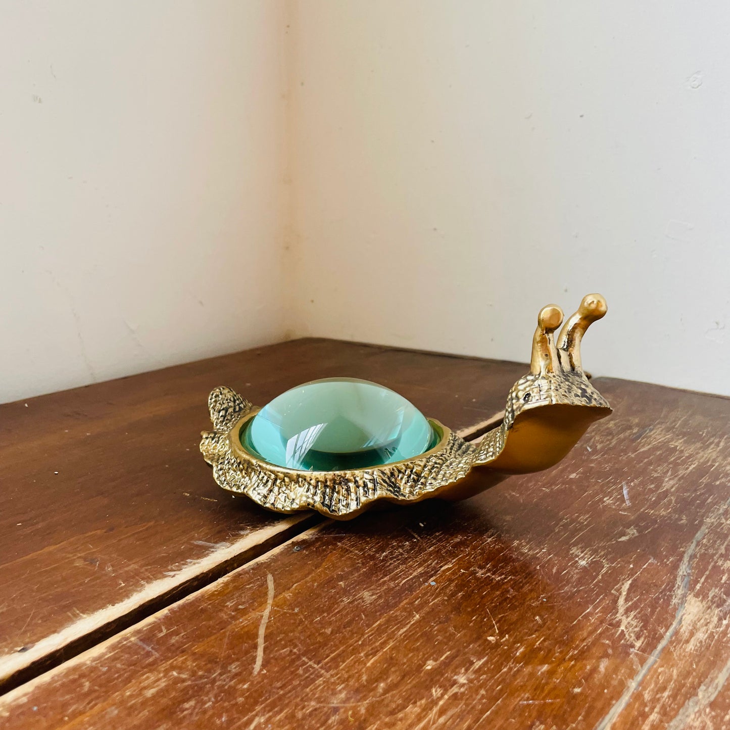 Kasden Magnifying Glass