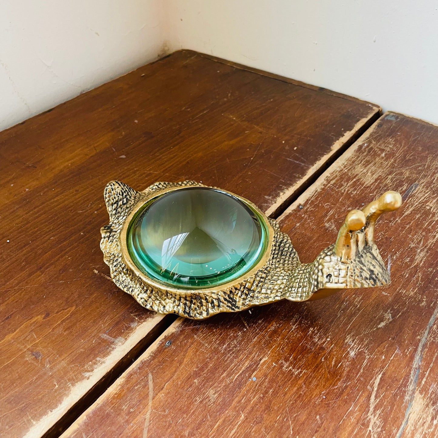 Kasden Magnifying Glass