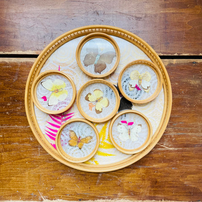 Bamboo Butterfly Tray & Coasters with Original Box- Vintage