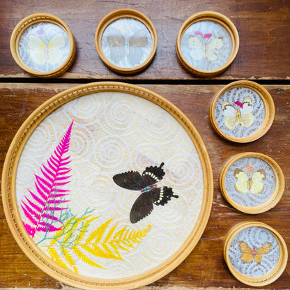 Bamboo Butterfly Tray & Coasters with Original Box- Vintage