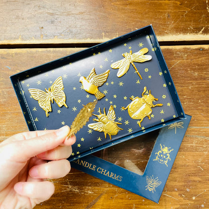 The Collected Candle Charms Box