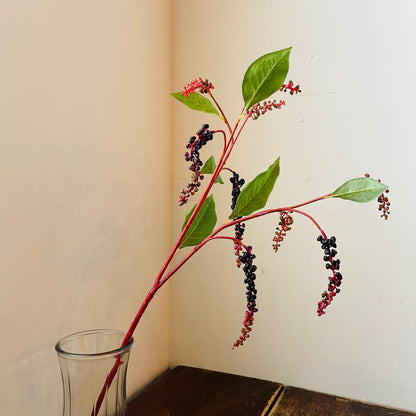 Poke Berry Stem
