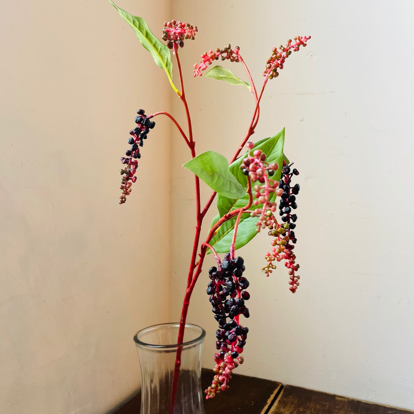 Poke Berry Stem