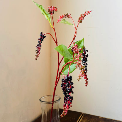 Poke Berry Stem