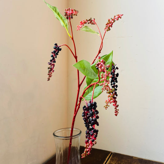 Poke Berry Stem