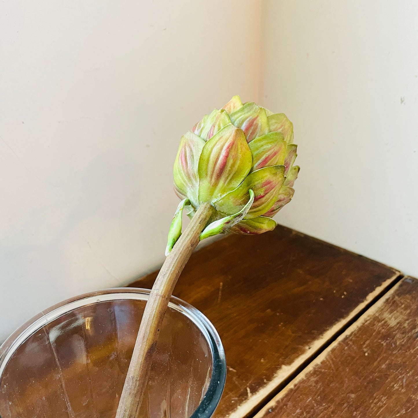 Green Artichoke Stem