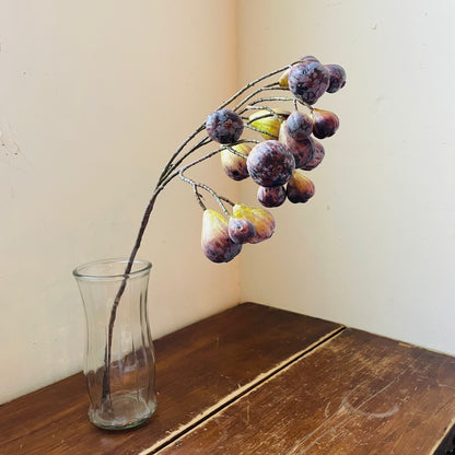 Green Brown Bunching Fig Stem