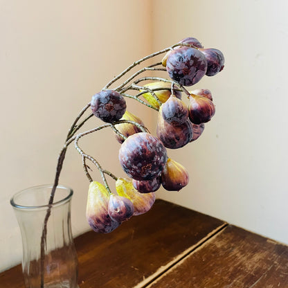 Green Brown Bunching Fig Stem