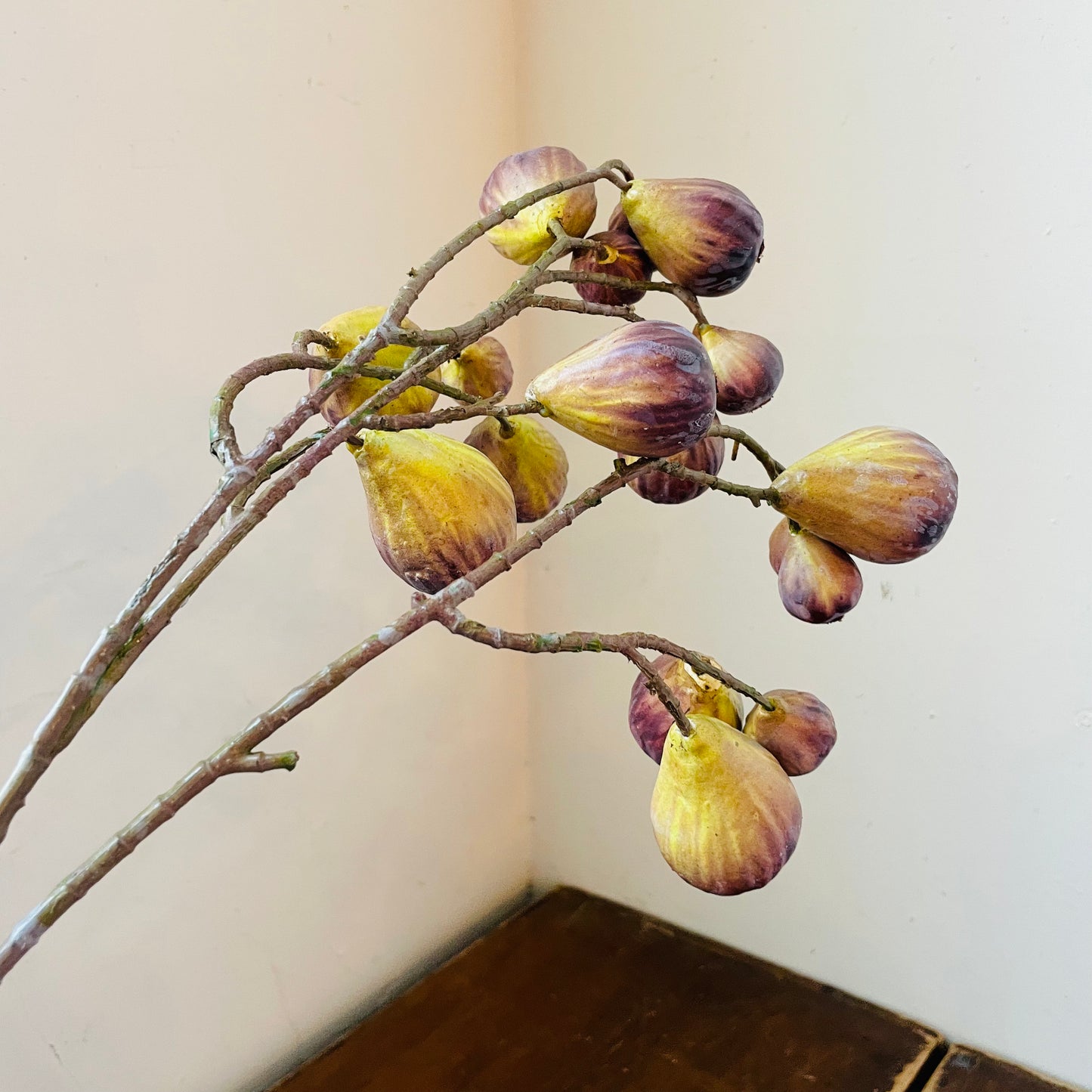 Green Brown Bunching Fig Stem