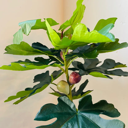 Faux Potted Piccolino Fig Tree