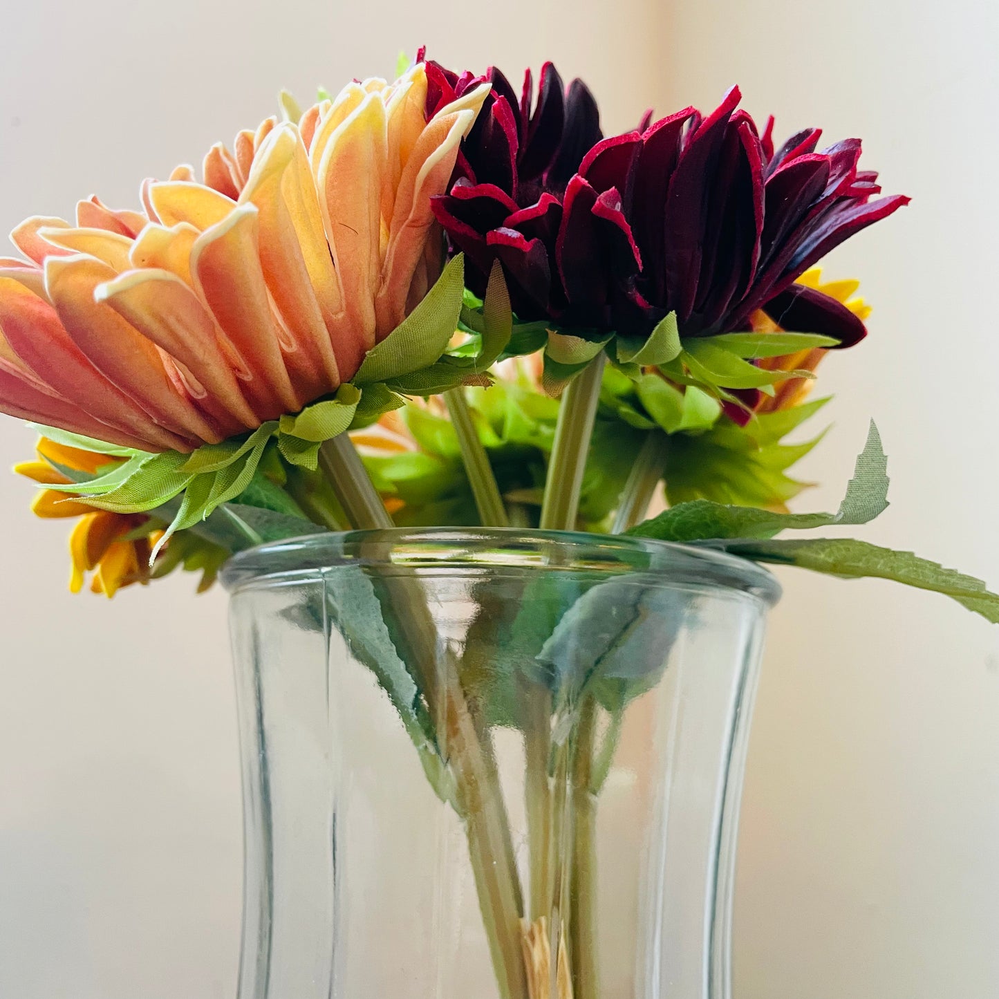 Field Sunflower Bundle