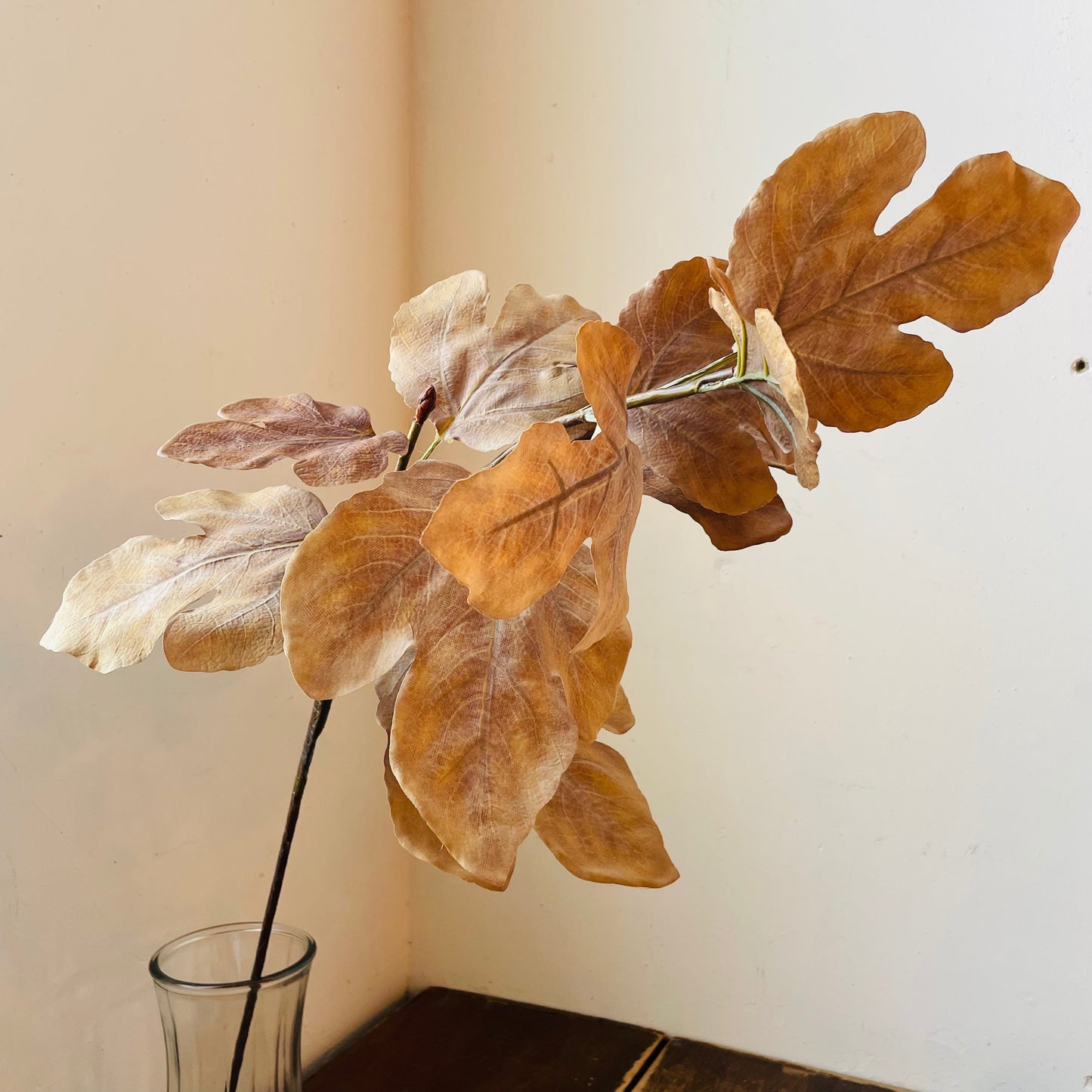 Autumn Gold Fig Stem