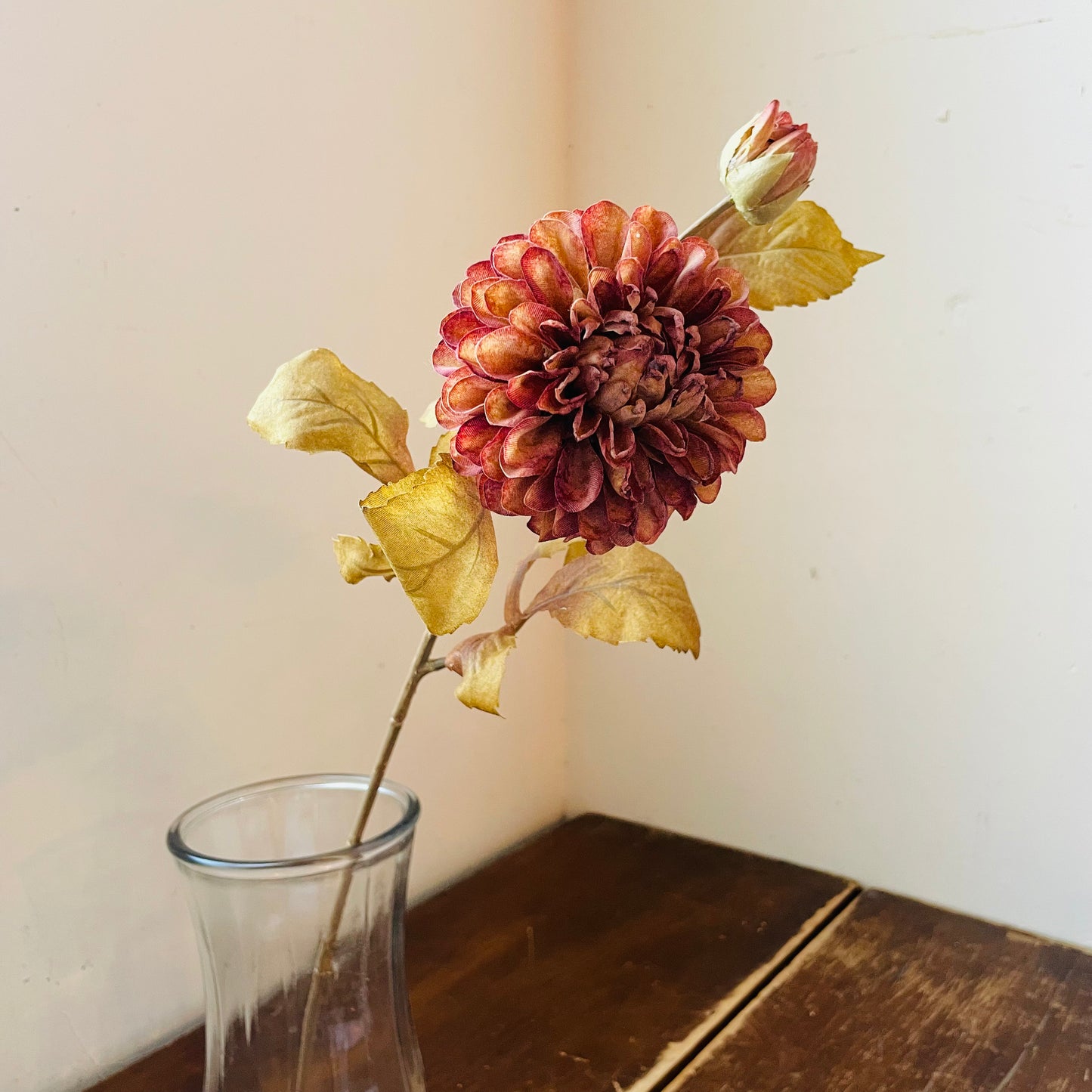 Autumn Garden Umber Dahlia