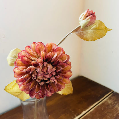 Autumn Garden Umber Dahlia