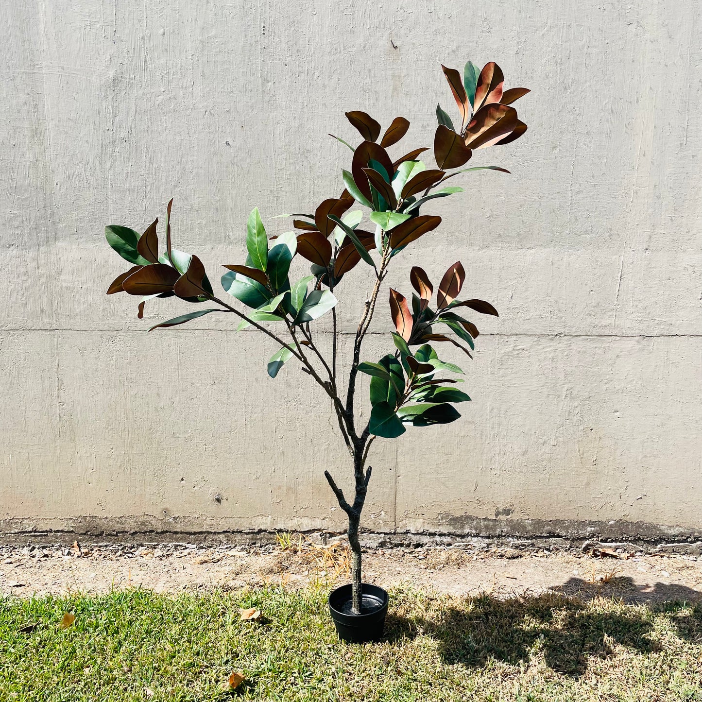 Faux Potted Entry Magnolia Tree