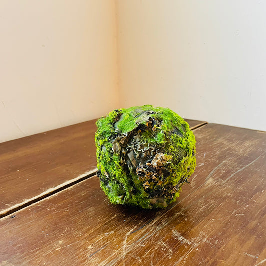 Mossy Lichen Orb