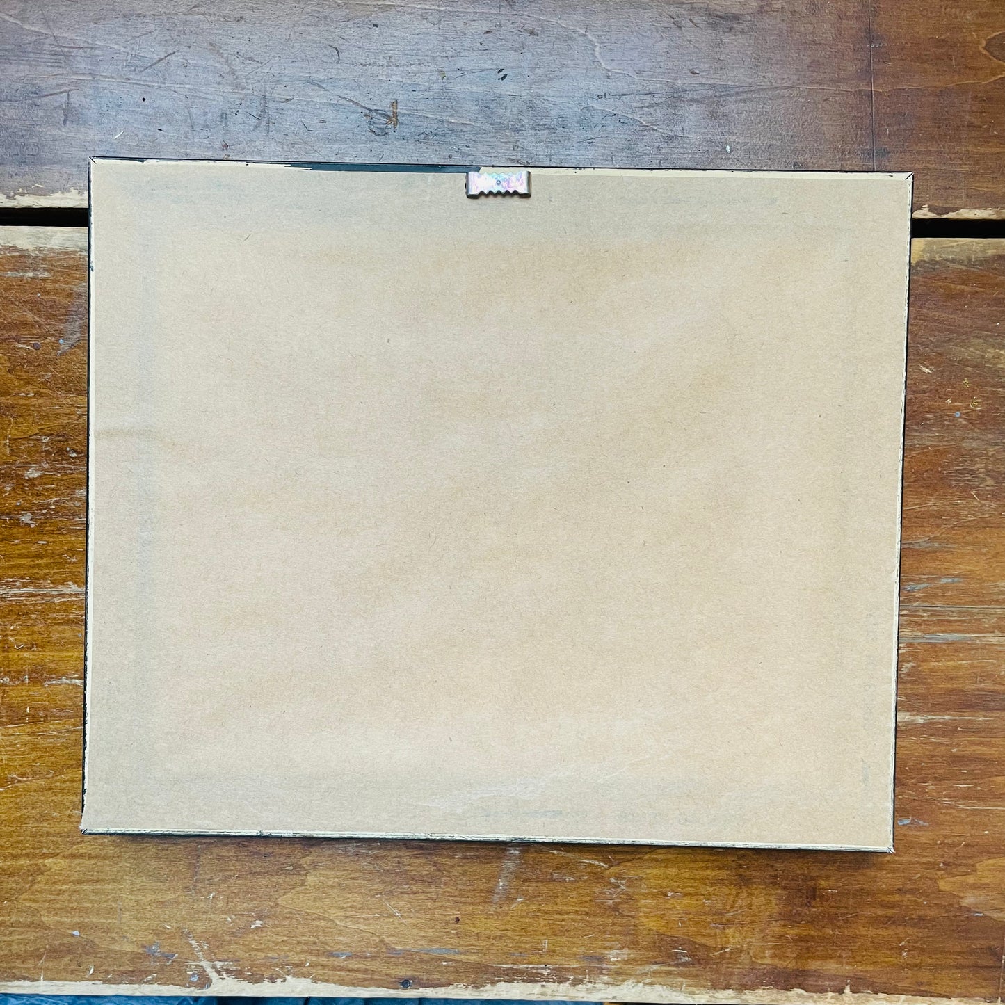 Framed Vintage Bookplate Mallard Drake