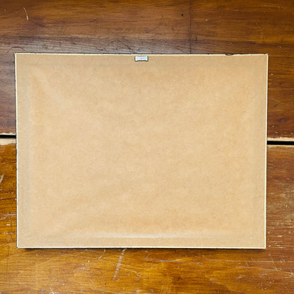 Framed Mallard Duckling Diagram