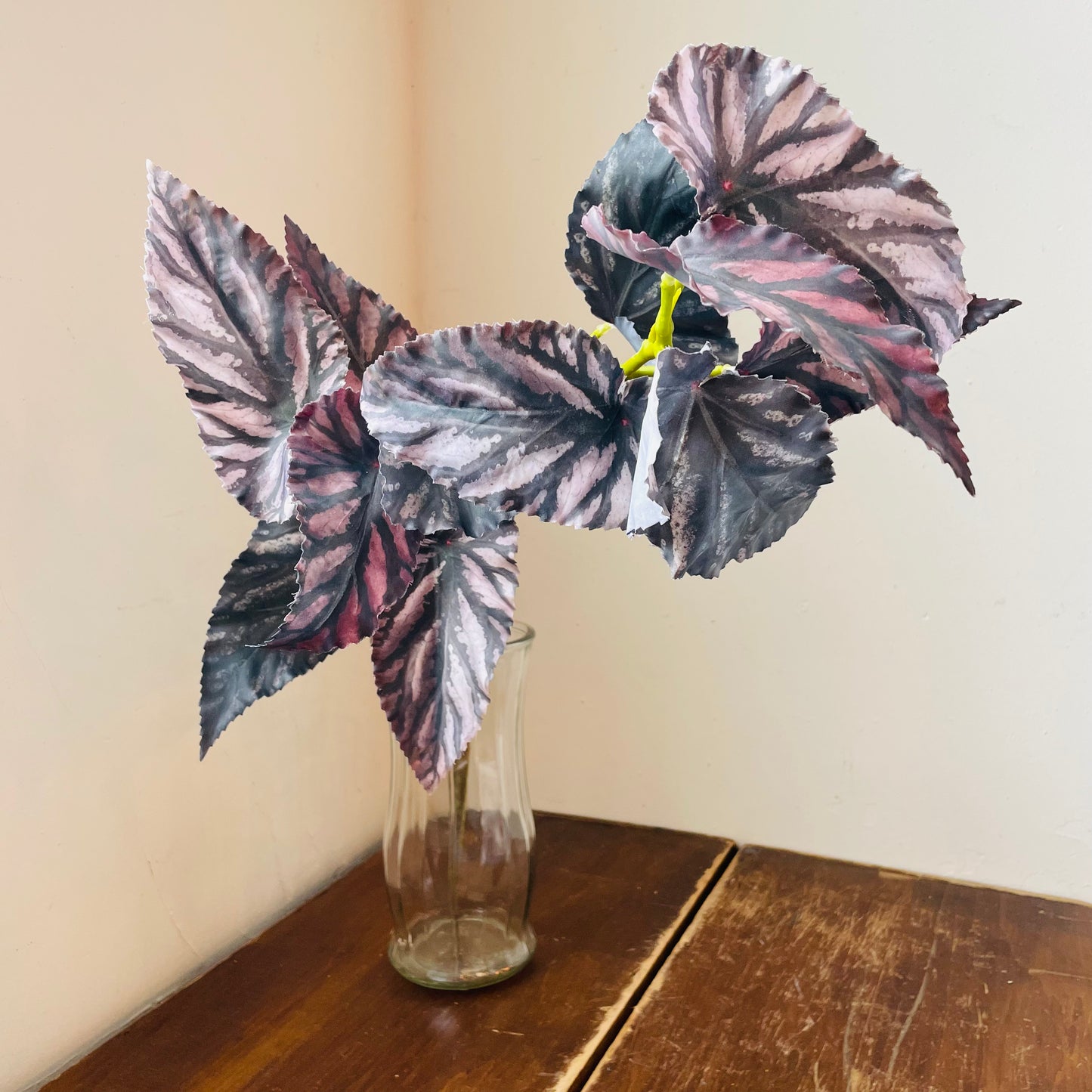 Large Green Burgundy Foliage Stem