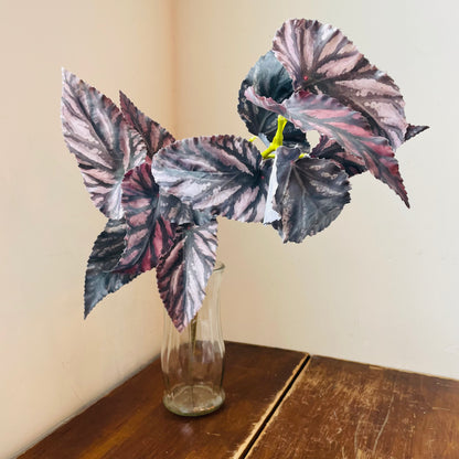 Large Green Burgundy Foliage Stem