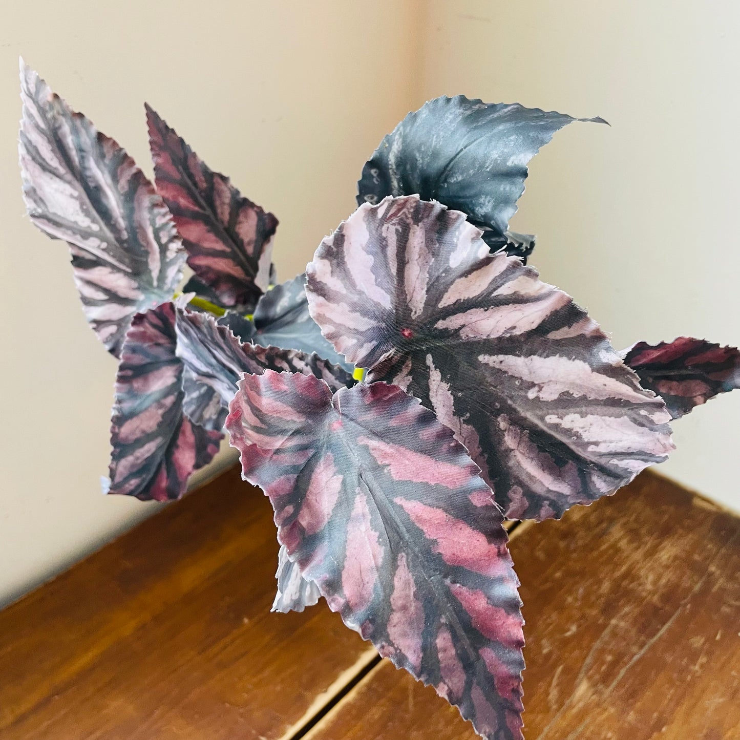 Large Green Burgundy Foliage Stem