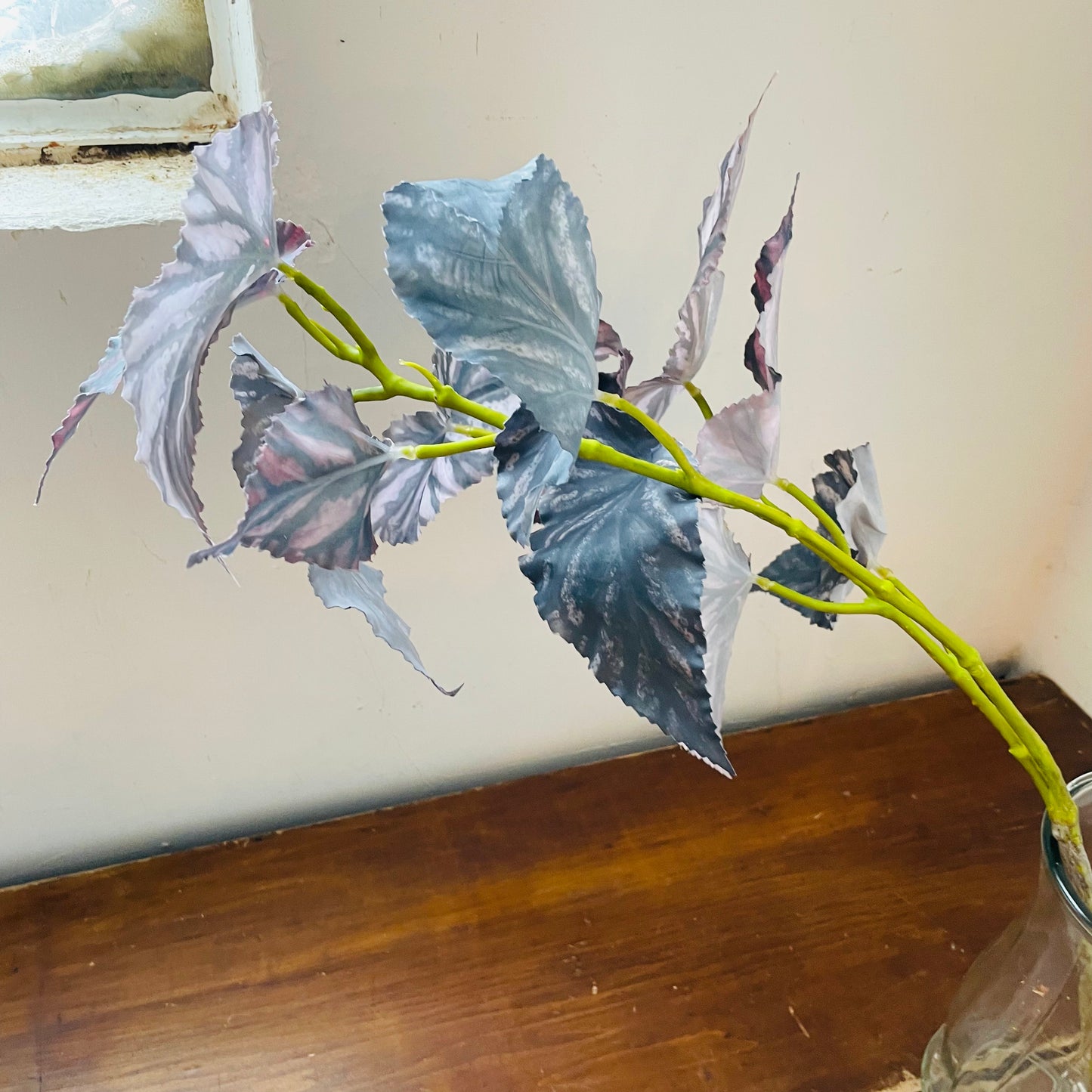 Large Green Burgundy Foliage Stem