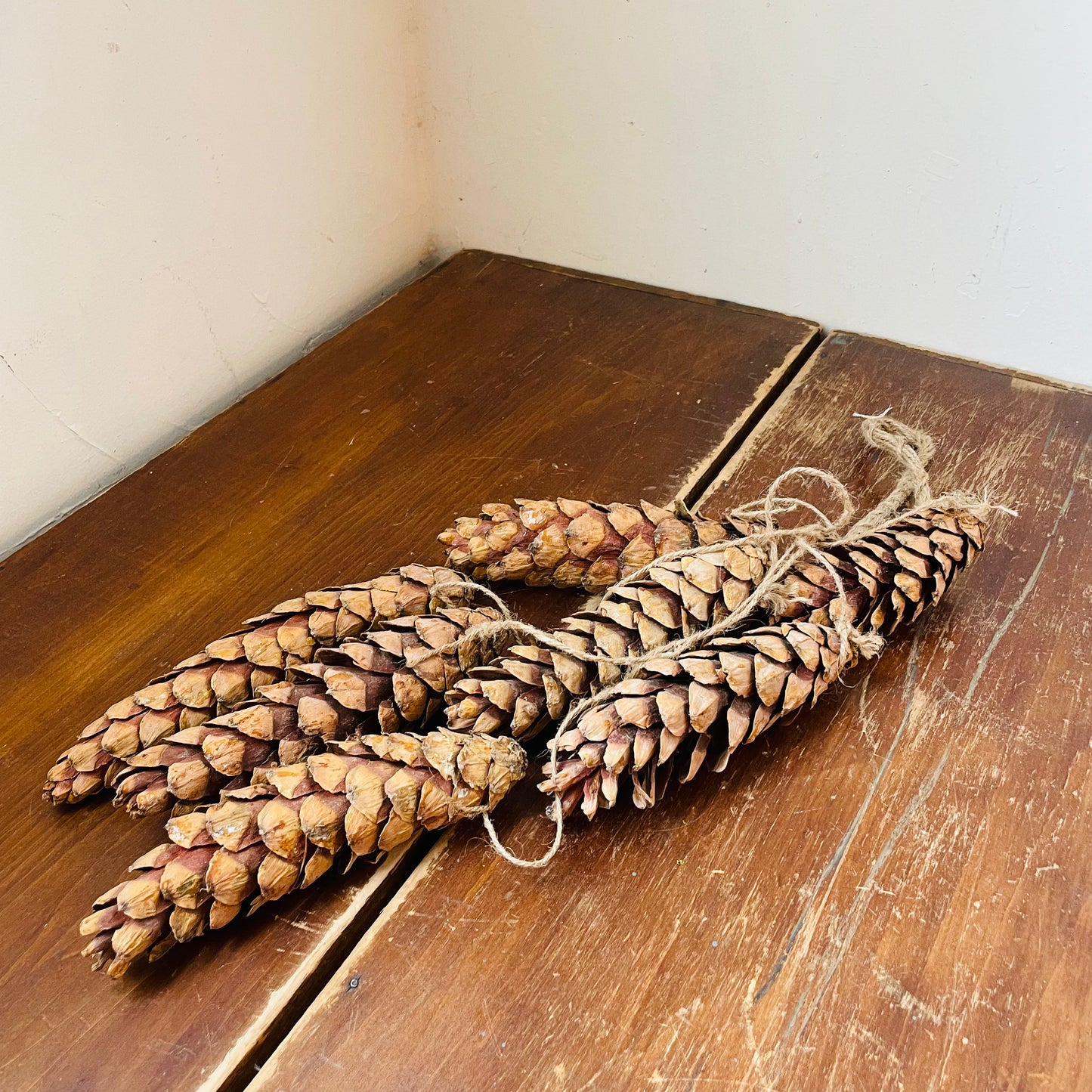 Stringed Dried White Pinecone Bunch