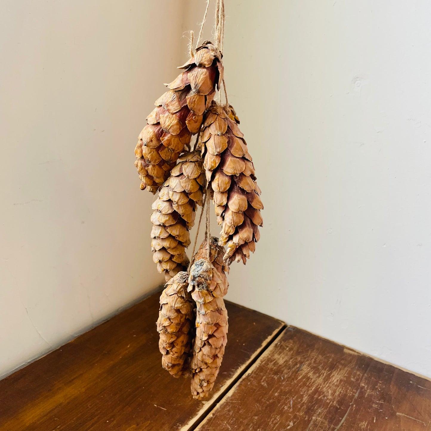 Stringed Dried White Pinecone Bunch