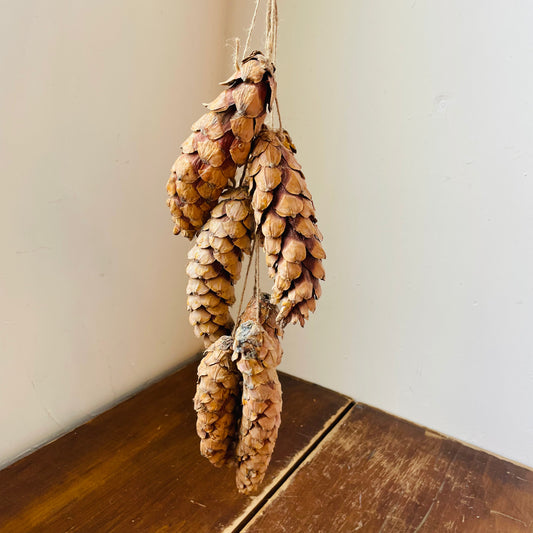 Stringed Dried White Pinecone Bunch