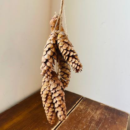 Stringed Dried White Pinecone Bunch