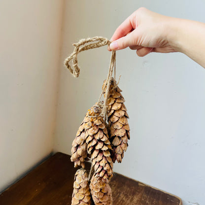 Stringed Dried White Pinecone Bunch