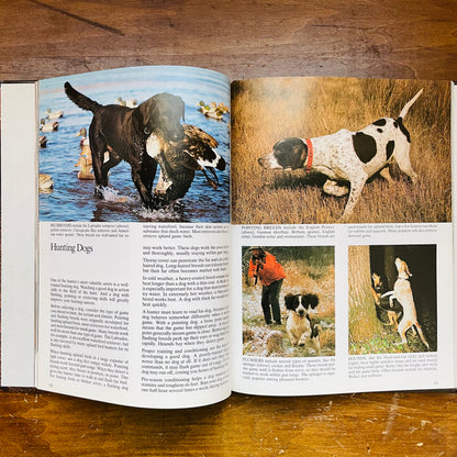 The Art of Hunting Book- Vintage