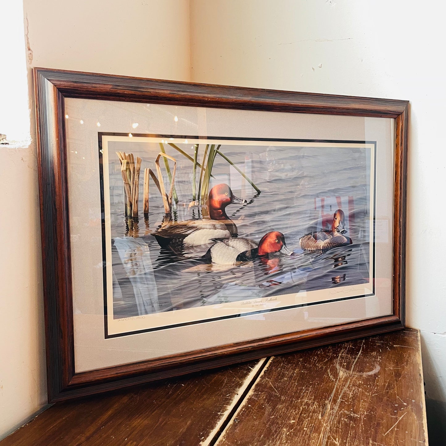 Dabbling Divers: Redheads by Neal Anderson- Vintage