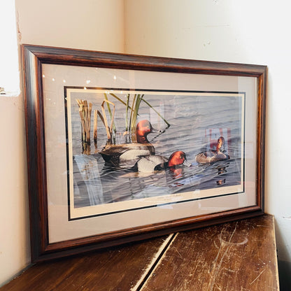 Dabbling Divers: Redheads by Neal Anderson- Vintage
