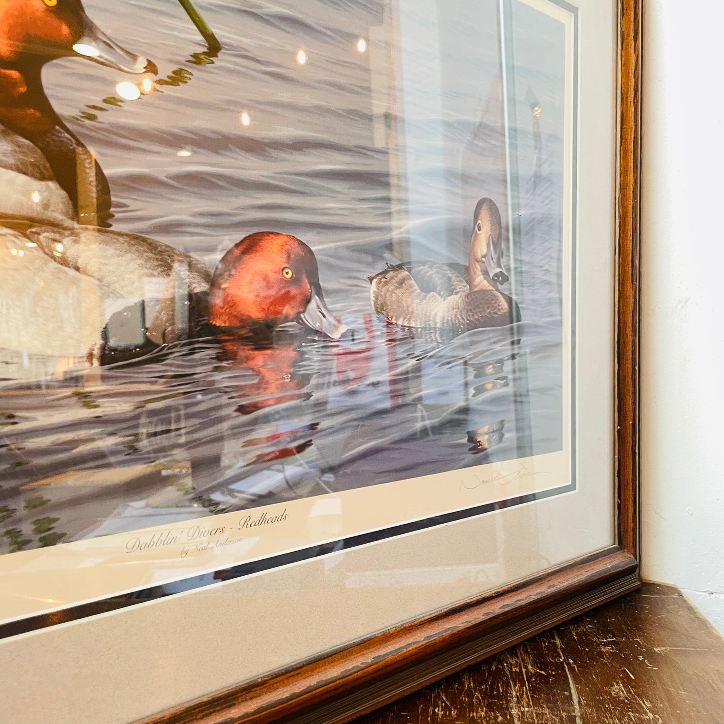 Dabbling Divers: Redheads by Neal Anderson- Vintage