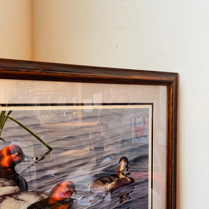 Dabbling Divers: Redheads by Neal Anderson- Vintage
