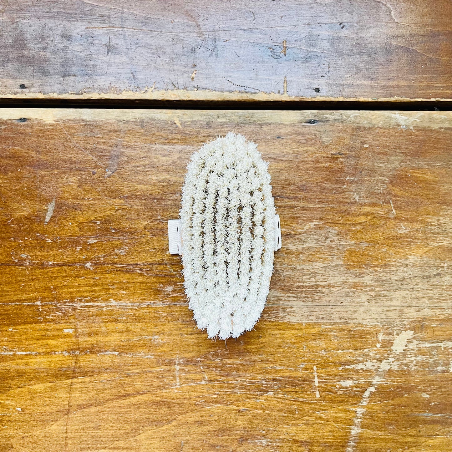 Beech Wood Bath Brush with Elastic Band