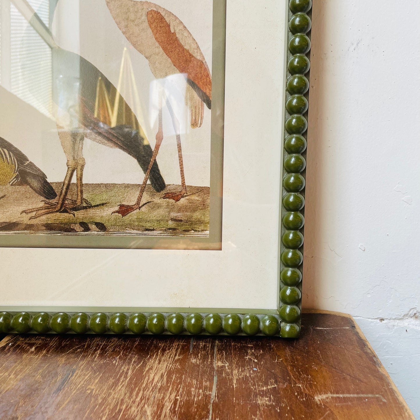 Waterbirds Reproduction Print in Green Bobbin Frame