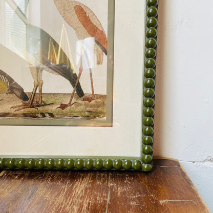 Waterbirds Reproduction Print in Green Bobbin Frame