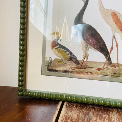 Waterbirds Reproduction Print in Green Bobbin Frame