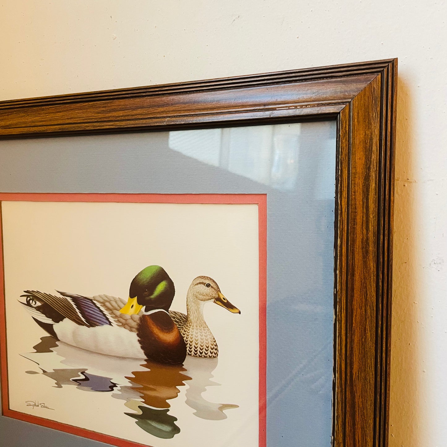 1980 Richard Sloan Mallard Pair Print in Wooden Frame- Vintage